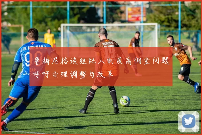 鲁梅尼格谈经纪人制度高佣金问题呼吁合理调整与改革